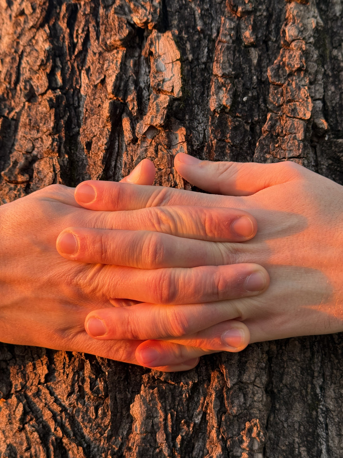 Côa x Rewilding Portugal