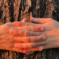 Côa x Rewilding Portugal