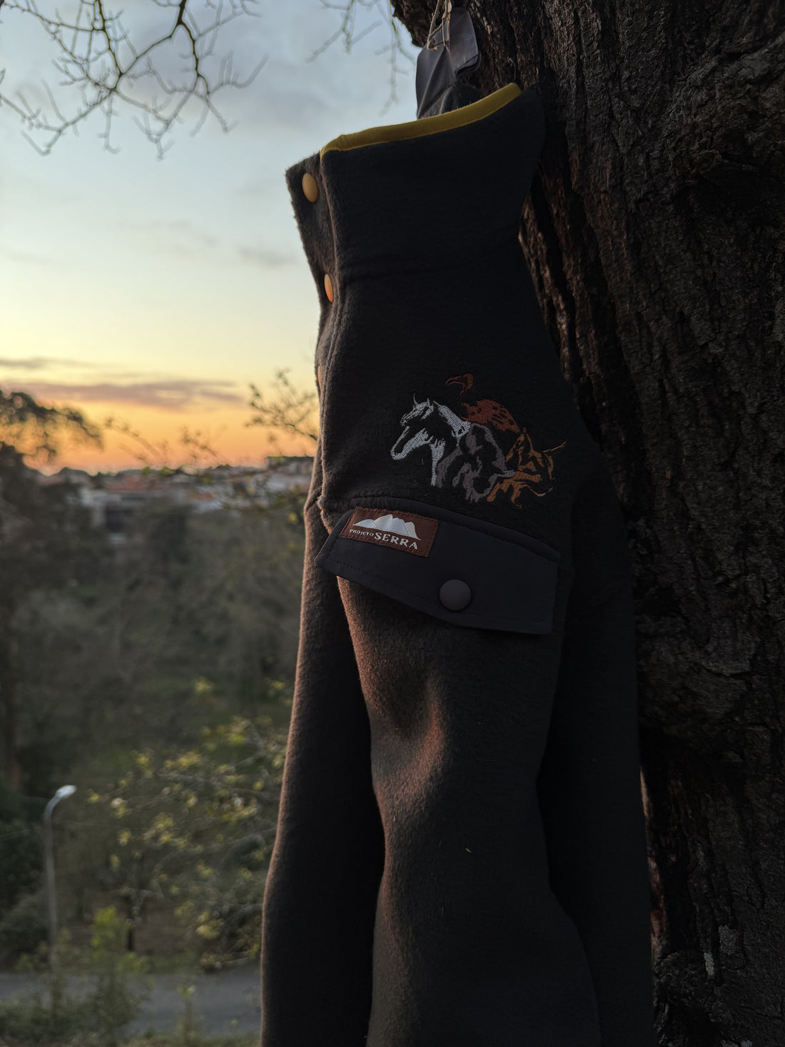 Côa x Rewilding Portugal