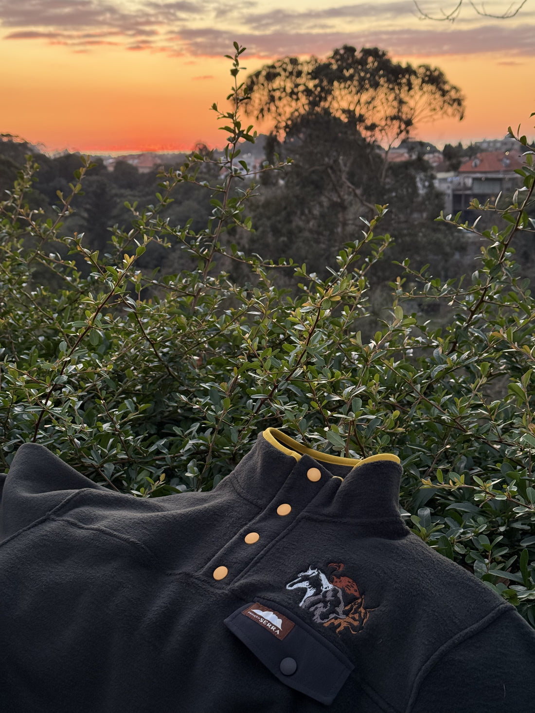 Côa x Rewilding Portugal