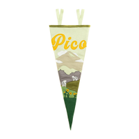 Pico