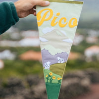 Pico